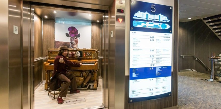 Dave spielt “Candle in the wind” live im Aufzug auf der Anthem of the Seas