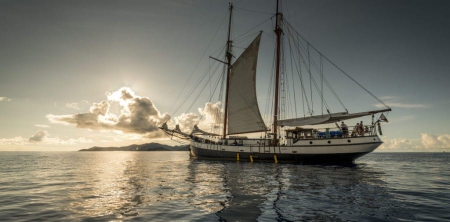 Mit der Sea Pearl die Unterwasserwelt der Seychellen entdecken