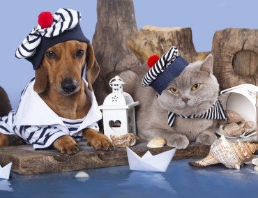Mit dem Hund auf Kreuzfahrt: Dog Master und Hundewiese inbegriffen