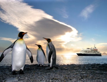 Naturschauspiel statt Wasserrutsche und Broadway-Show mit der Sea Spirit in der Antarktis