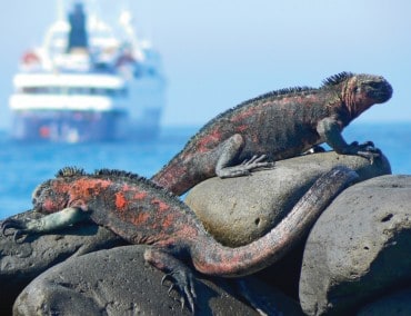 Celebrity Cruises verstärkt das Engagement bei Expeditionskreuzfahrten auf den Galapagosinseln