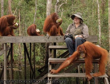 Weltberühmte Orang-Utan-Forscherin zu Gast bei Silversea