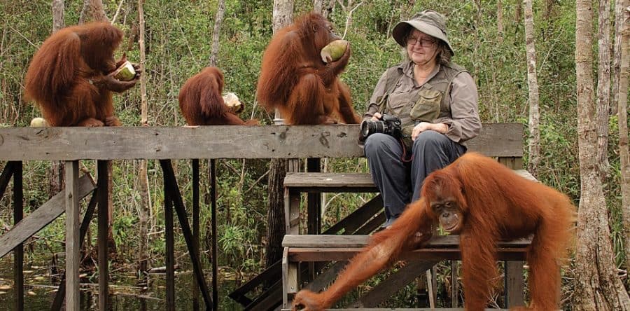 Weltberühmte Orang-Utan-Forscherin zu Gast bei Silversea