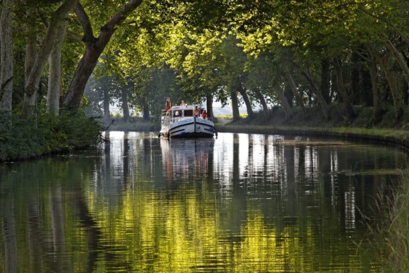 Locaboat Holidays unterstützt Aufforstung am Canal du Midi