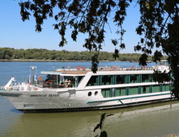 Porträt Amadeus Silver 1 – Flussschiff des Jahres 2013