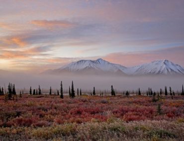 Alaska hautnah mit der neuen „Denali Experience“ von Seabourn