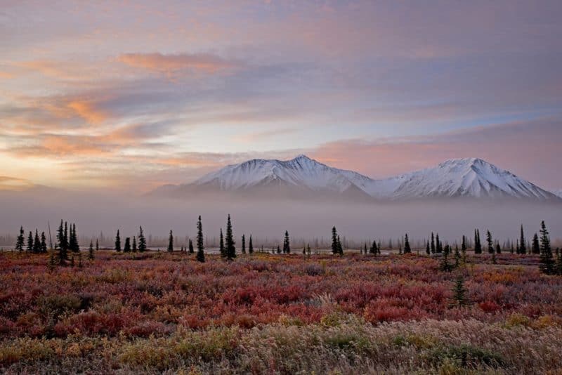 Alaska hautnah mit der neuen „Denali Experience“ von Seabourn