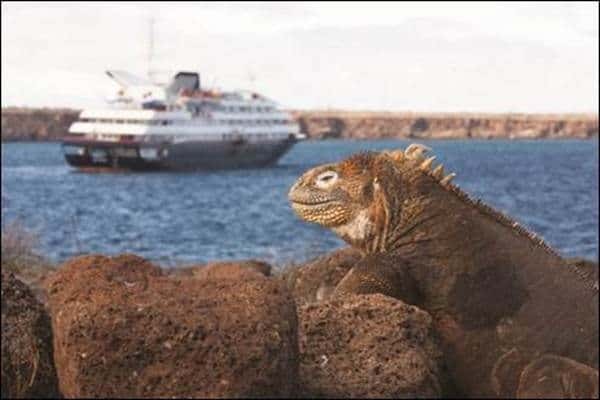 Expeditionsschiffsreisen – Trend oder nachhaltiges Erlebnis?