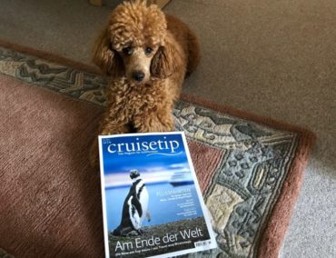 Kreuzfahrt ans Ende der Welt – Aus Traum wird Wirklichkeit