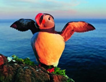 Im Bann des Nordens – Abenteuer am Polarkreis