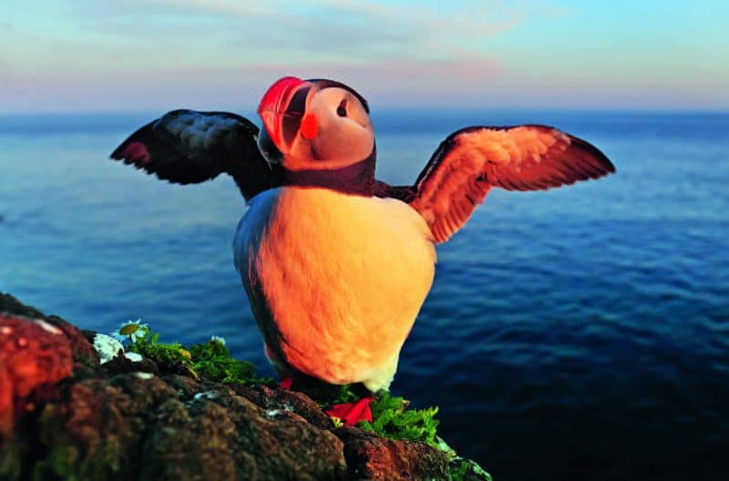 Im Bann des Nordens – Abenteuer am Polarkreis