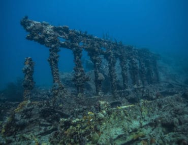 Acht atemberaubende Kreuzfahrt-Landausflüge mit Adrenalin-Garantie