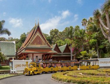 Loro Parque auf Teneriffa ist laut TripAdvisor der beste Zoo der Welt