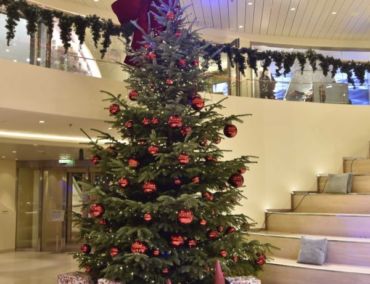 Weihnachtsbäume aus Niedersachsen entern die AIDA Flotte