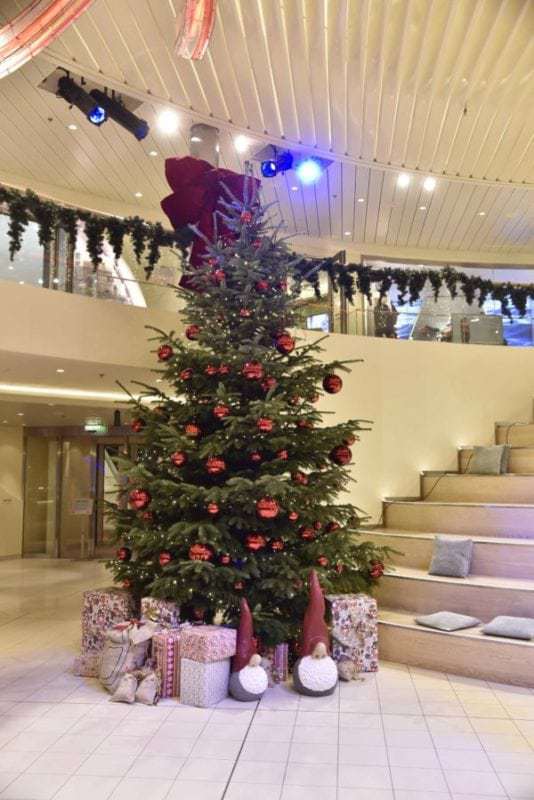Weihnachtsbäume aus Niedersachsen entern die AIDA Flotte