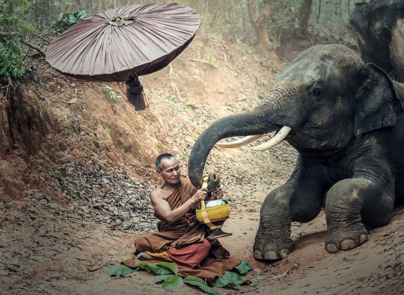 Myanmar – ein Geheimtipp für Kreuzfahrten