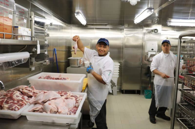 Hochsee- und Flussreedereien bieten viele Jobs an – auch Quereinsteiger willkommen