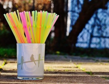 MSC ersetzt Plastikstrohhalme durch kompostierbare und biologisch abbaubare Alternativen