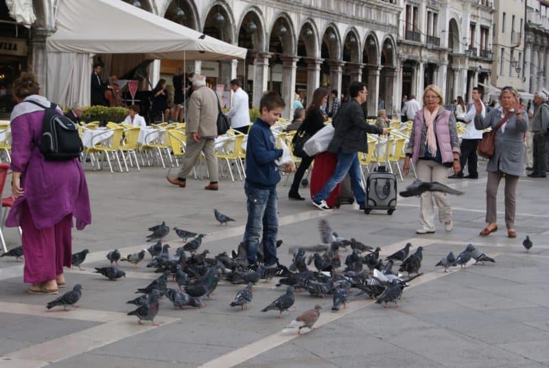 Reiseschutz für Landausflüge gilt neu weltweit