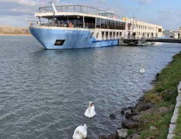 Kreuzfahrtschiffe lassen keine «Fäkalien» ungefiltert in die Donau