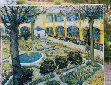 Porträt Arles: Wo Vincent van Gogh sein Ohrläppchen verlor