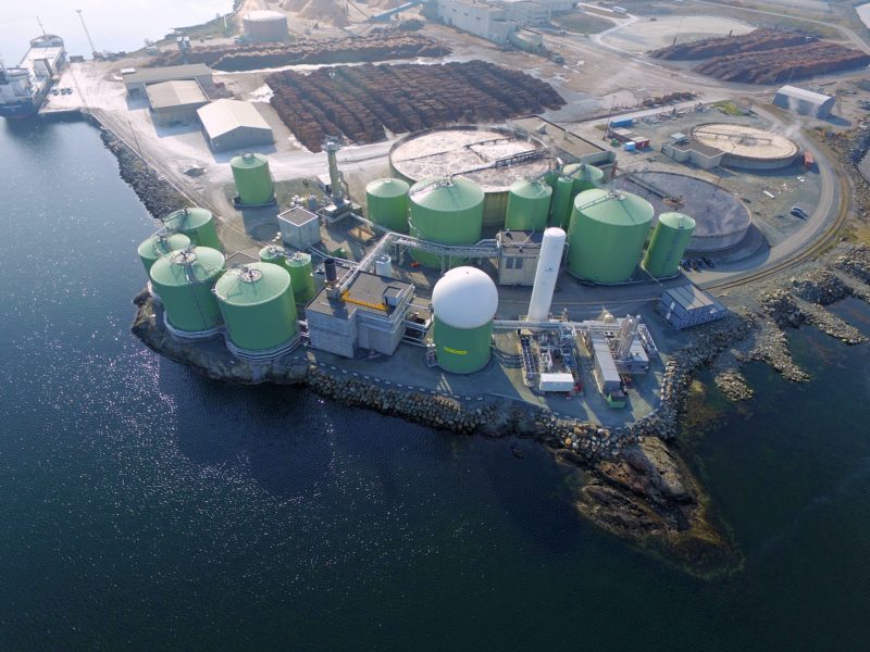 Grüner Antrieb: Hurtigruten fährt künftig mit Biogas aus Fischabfällen