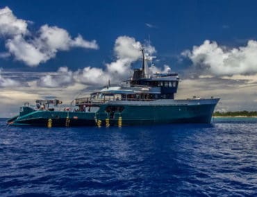 Expeditionen zum Aldabra-Atoll mit Schildkröten, Bird Watching und Tauchgängen