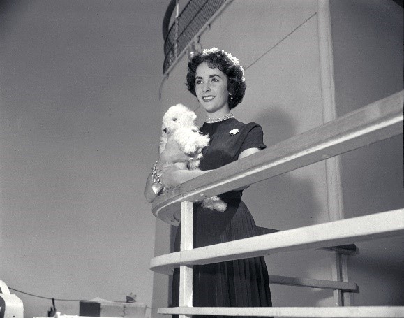 Exklusive Elizabeth Taylor Ausstellung auf der Queen Mary 2