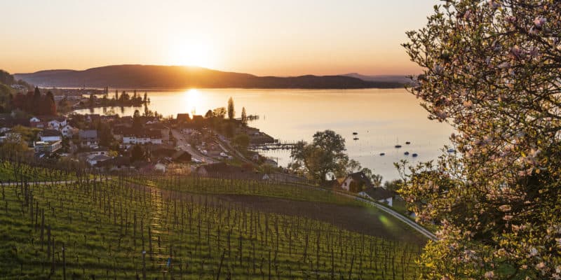 Bodensee lädt zu herbstlichen Schiffsausflügen ohne Grenzen