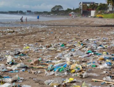 TUI Cruises leistet aktiven Beitrag gegen die Fluten an Plastikmüll
