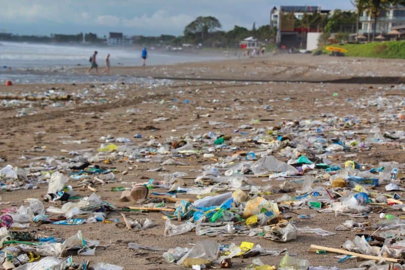 TUI Cruises leistet aktiven Beitrag gegen die Fluten an Plastikmüll