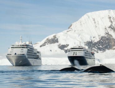 Die Silver Whisper trifft in der Antarktis auf die Silver Cloud