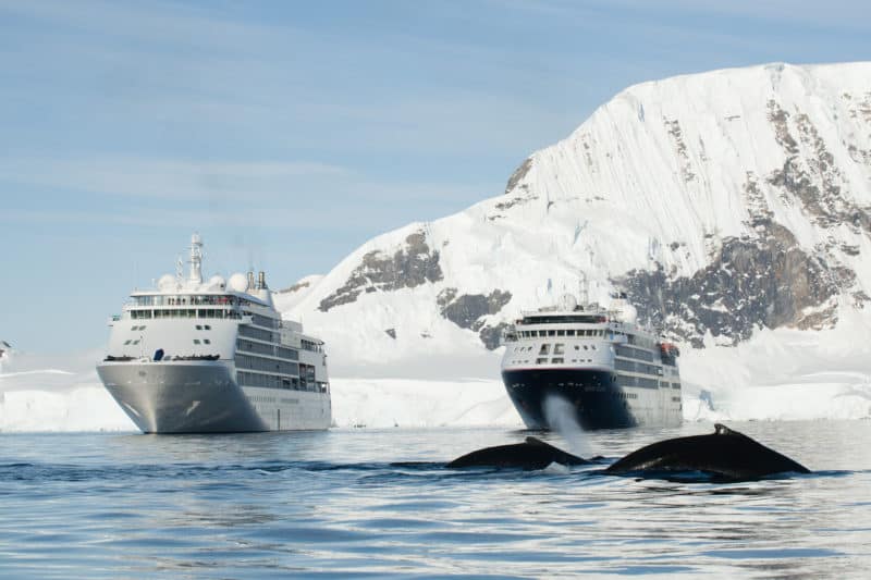 Die Silver Whisper trifft in der Antarktis auf die Silver Cloud