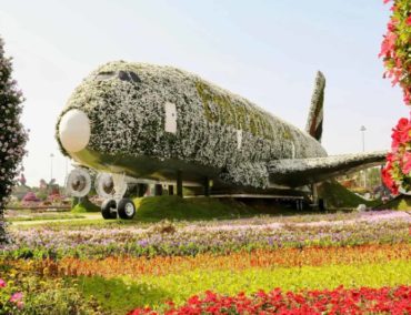 Miracle Garden in Dubai lockt mit 150 Millionen Blumen und blumigem Airbus A380