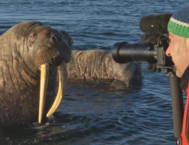 Spitzbergen – auf Expedition in der Arktis: Neu auf Blue Ray und DVD