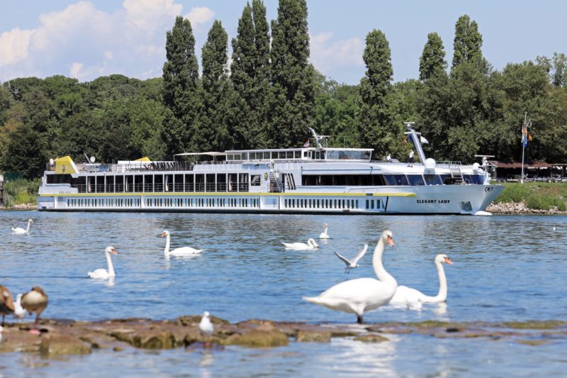 Musikalischer Frühlingszauber auf Flussreise mit der MS Elegant Lady