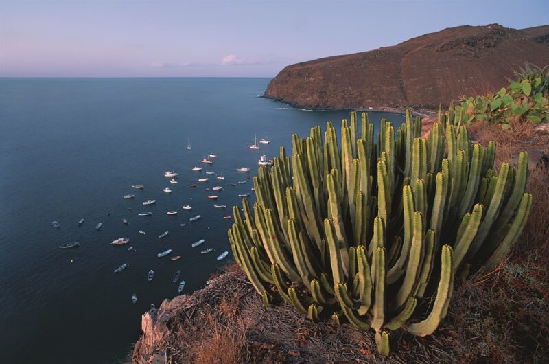 Die Seele auf den Kanarischen Inseln mit der Mein Schiff 2 baumeln lassen