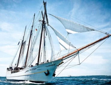 Single-Segeltörn mit dem 3-Master Mare Frisium von Hamburg nach Sylt