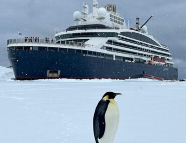 Leinen los für Ihr Abenteuer in der Antarktis mit Ponant