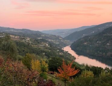Reisehoroskop 2023: Den Stier zieht es an den Douro und die anderen Sternzeichen?