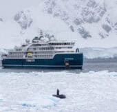 Abenteuer Antarktis: Mit der SH Minerva zu den entlegensten Inseln und historischen Stätten