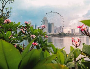 Singapur freut sich auf neun Reisen der Mein Schiff 5