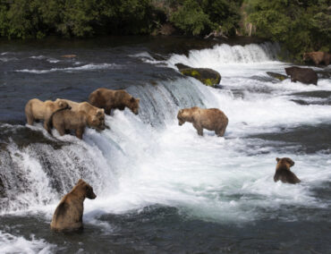 Mit einer Silversea Kreuzfahrt das echte, raue Alaska erleben