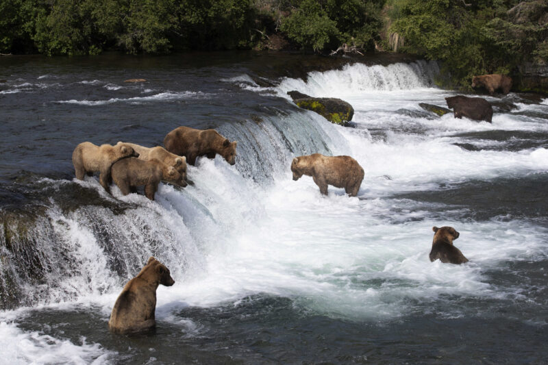 Mit einer Silversea Kreuzfahrt das echte, raue Alaska erleben