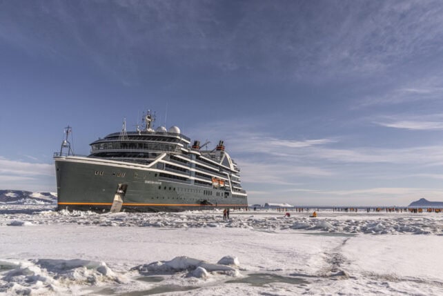 Die einsame Schönheit der Polarwelt entdecken: Seabourns exklusive Antarktis Reisen
