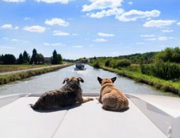Zehn Tipps für einen Hausbooturlaub mit Hund