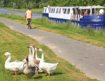 Geheimtipps auf hoher See von Kuoni Cruises