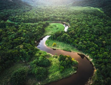 Explora I fährt in den Amazonas und lässt Gäste den brasilianischen Regenwald aus nächster Nähe erleben