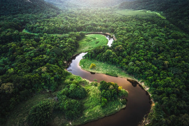 Explora I fährt in den Amazonas und lässt Gäste den brasilianischen Regenwald aus nächster Nähe erleben