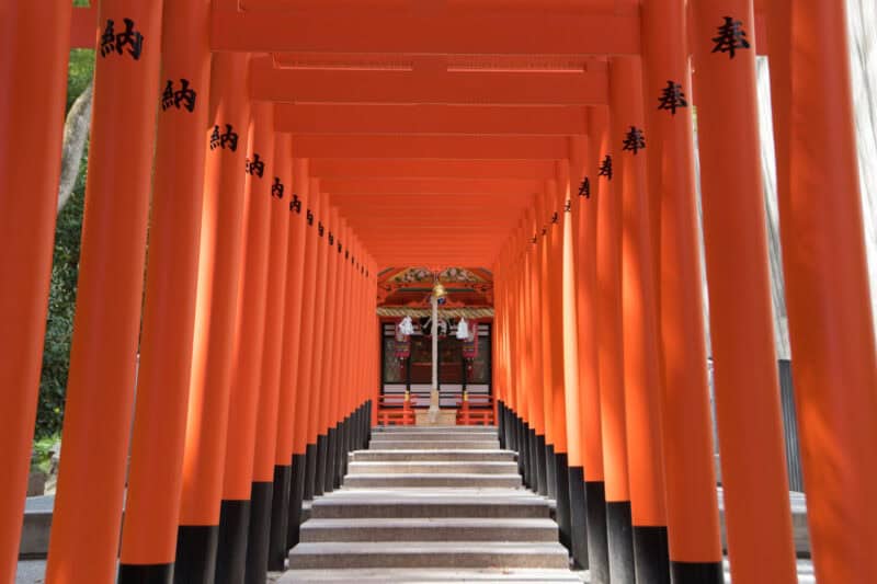 Kunst auf See: Europa 2 nimmt Kurs auf asiatische Kunst